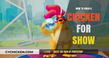 Mastering the Art of Holding Chickens for Show Competitions