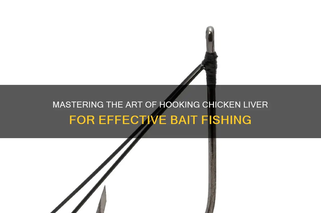 how to hold chicken liver on hook