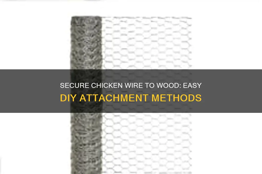 how to hold chicken wire to wood