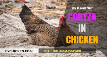 Effective Home Remedies for Treating Coryza in Chickens Naturally