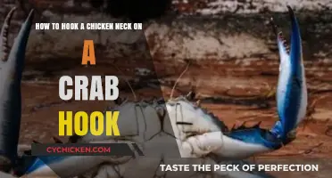 The Ultimate Guide to Hooking Chicken Necks for Crabs