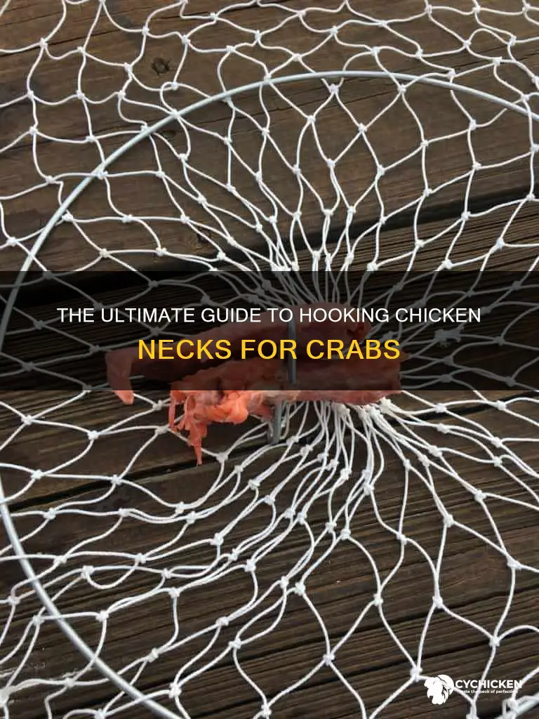 how to hook a chicken neck on a crab hook