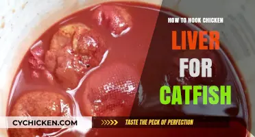 Mastering Catfish Baiting: Effective Chicken Liver Hooking Techniques Revealed