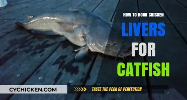 Mastering Catfish Bait: Hooking Chicken Livers for Big Catches