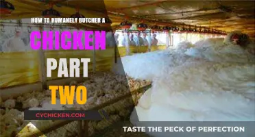 Ethical Chicken Butchering: Humane Techniques and Best Practices Continued