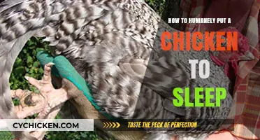 Compassionate Chicken Euthanasia: A Guide to Humane Rest for Poultry