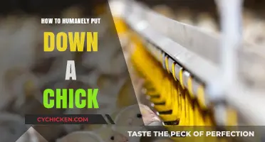 Compassionate Euthanasia: A Guide to Humanely Putting Down Chicks