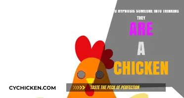 Hypnotic Chickens: The Power of Suggestion