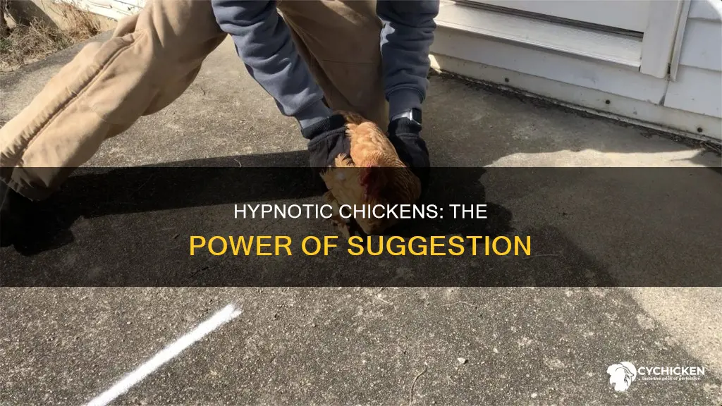 how to hypnosis someone into thinking they are a chicken