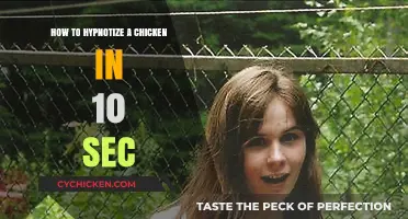 Quick Chicken Hypnosis: Master the 10-Second Technique Easily