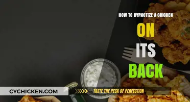 Master the Art of Hypnotizing Chickens: A Simple Back Trick