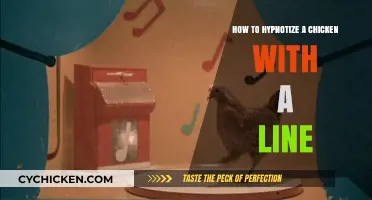 Master the Art of Hypnotizing Chickens with a Simple Line
