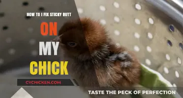 Get Rid of Sticky Butt on Your Chick