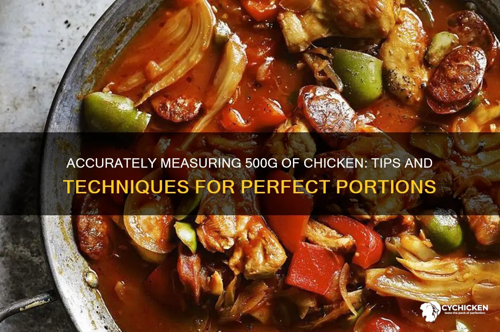 how to i measure 500g of chicken