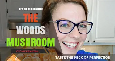 Identifying Chicken of the Woods: A Beginner's Guide to Foraging Safely