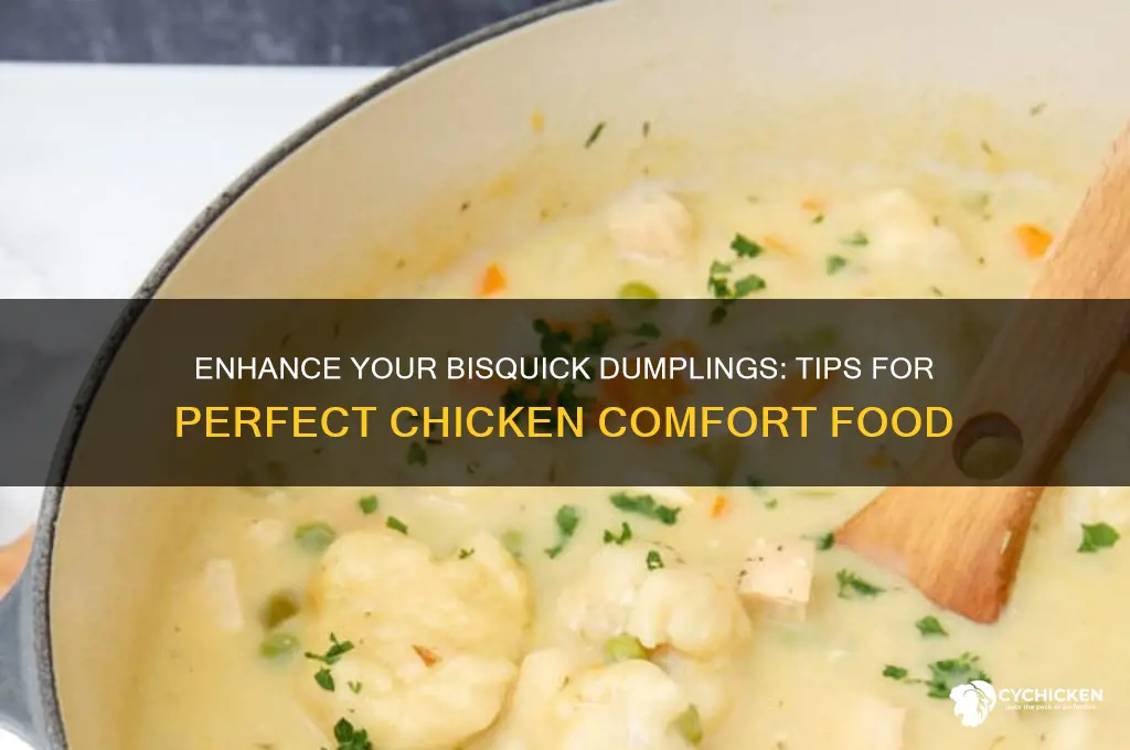 how to improve bisquick dumplings for chicken