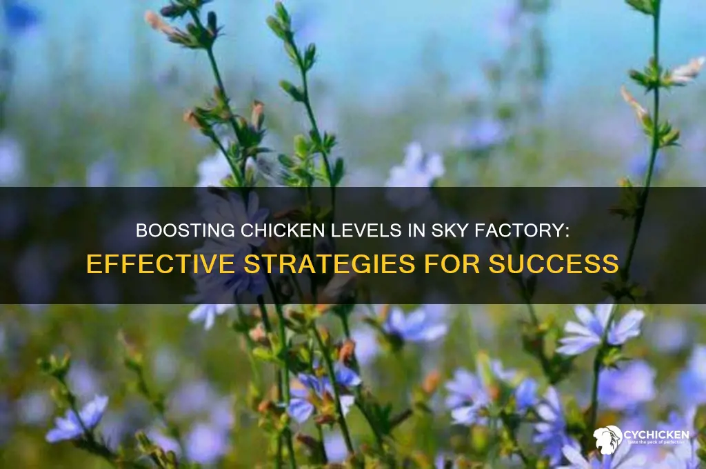 how to increase chicken level in sky factory