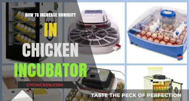 Boosting Incubator Humidity: Essential Tips for Healthy Chick Hatching