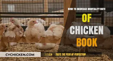 Boosting Chicken Survival: Strategies to Reduce Mortality Rates Effectively