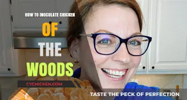 Mastering Chicken of the Woods Inoculation: A Step-by-Step Guide