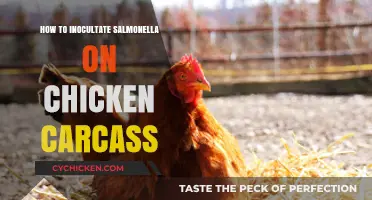 Effective Salmonella Inoculation Techniques for Chicken Carcass Research