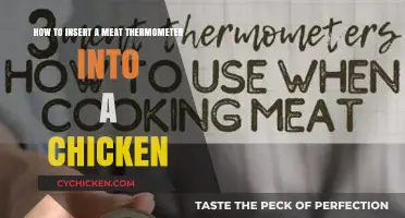 The Best Way to Insert a Meat Thermometer into Chicken