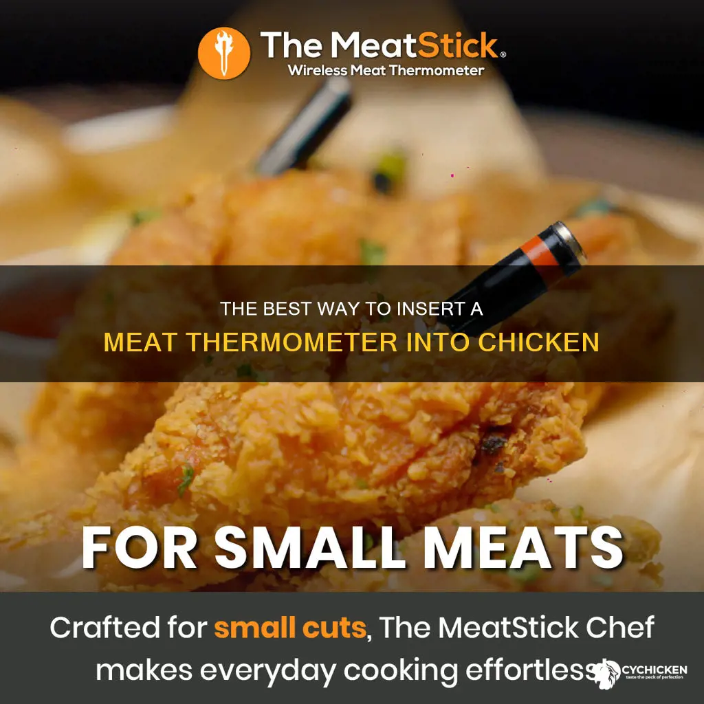 how to insert a meat thermometer into a chicken