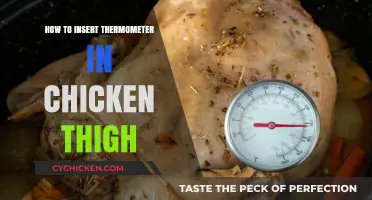 Mastering Chicken Thigh Temperature: Easy Thermometer Insertion Guide