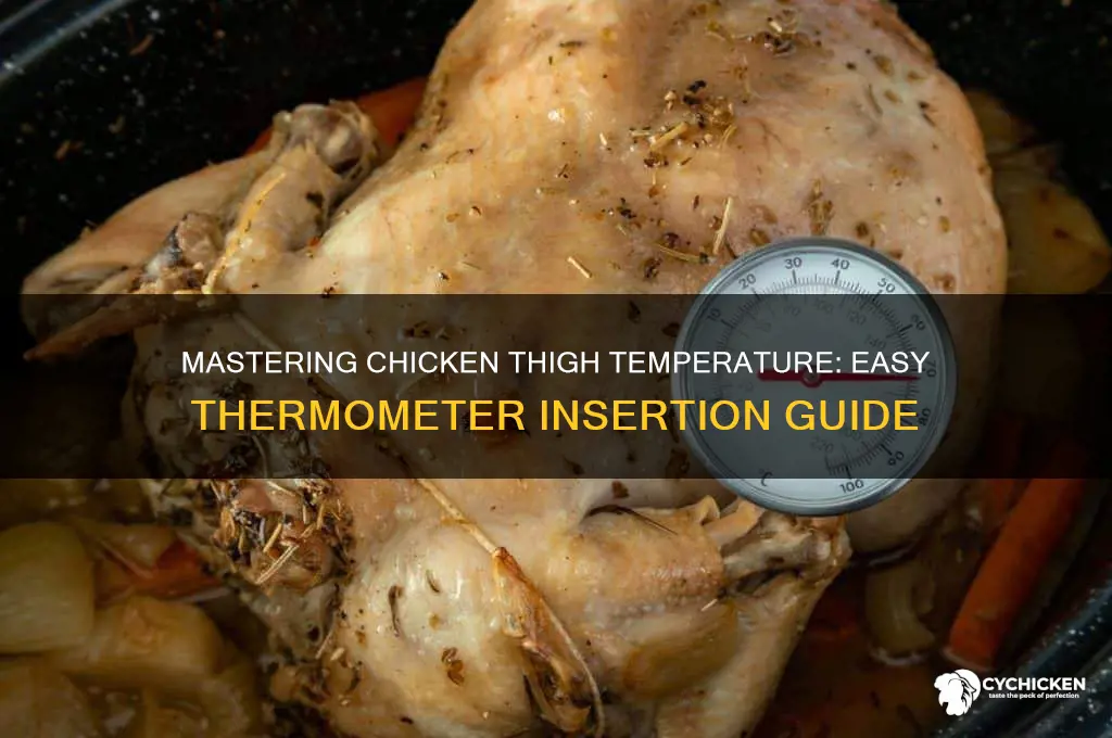 how to insert thermometer in chicken thigh