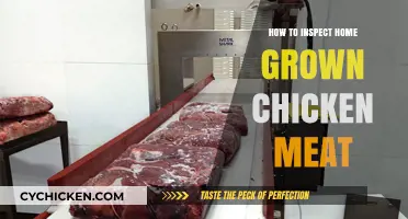 Inspecting Home-Grown Chicken: A Step-by-Step Guide to Quality Assurance