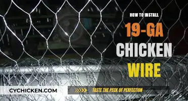 Easy Guide to Installing 19-Gauge Chicken Wire for Your Projects