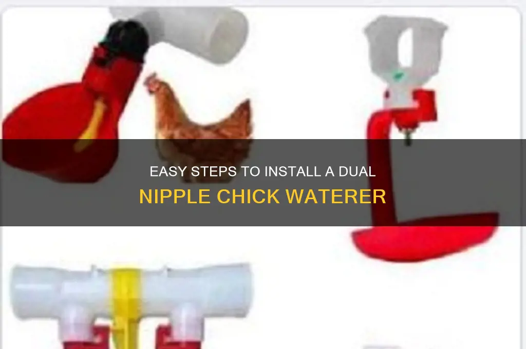 how to install a 2 nipple chick waterer