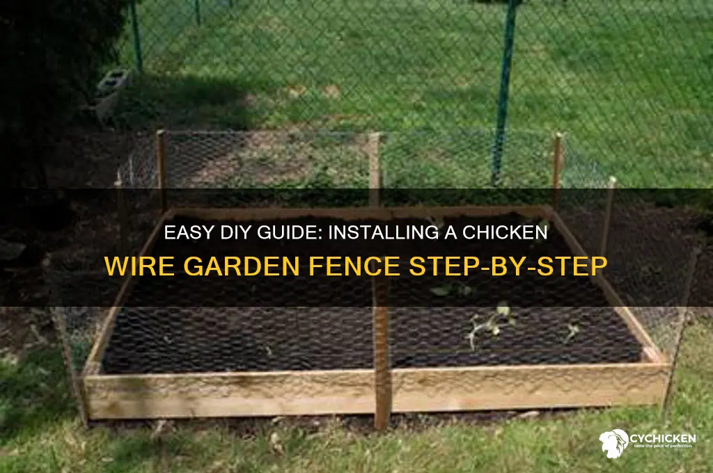 how to install a chicken wire garden fence