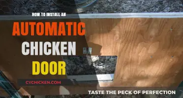 Easy Steps to Install an Automatic Chicken Door for Your Coop