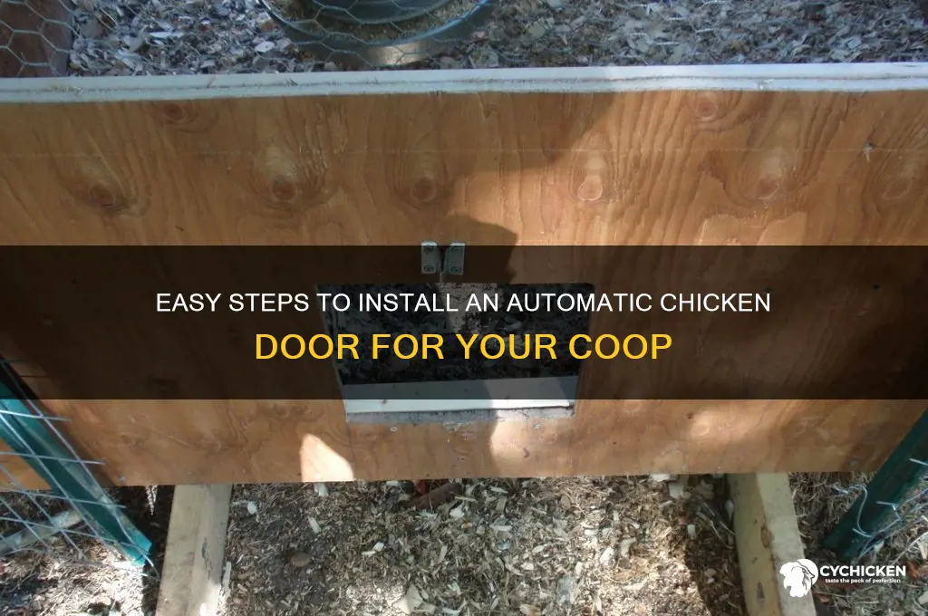 how to install an automatic chicken door