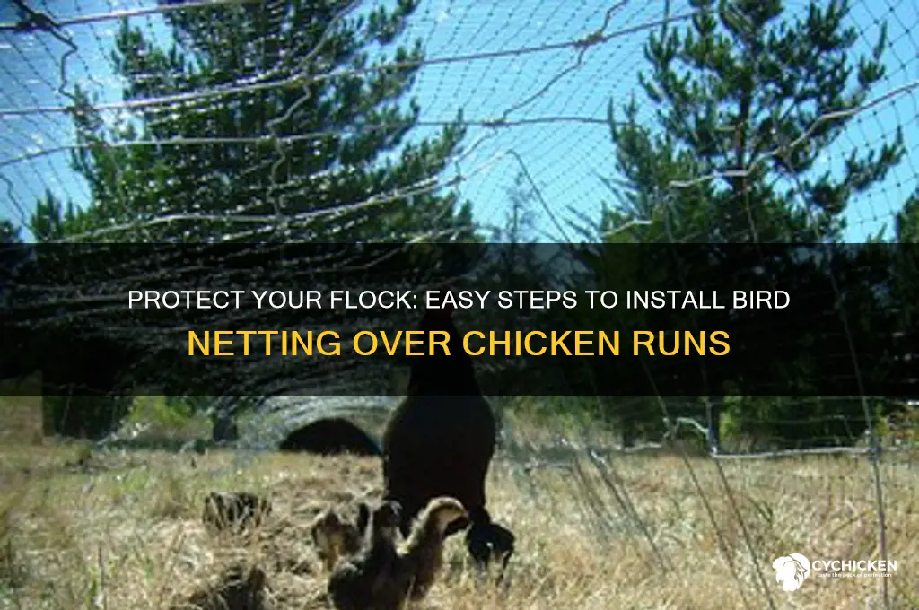 how to install bird netting over chicken run