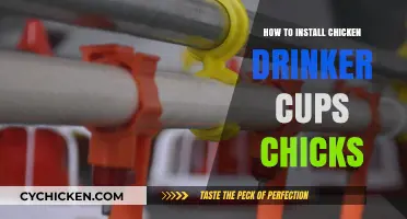 Easy Guide to Installing Chicken Drinker Cups for Chicks