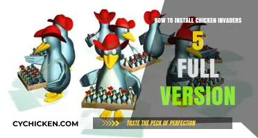 Complete Guide to Installing Chicken Invaders 5 Full Version Easily