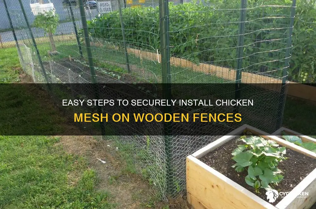 how to install chicken mesh on wooden fence