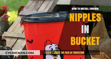 Easy DIY Guide: Installing Chicken Nipples in a Bucket