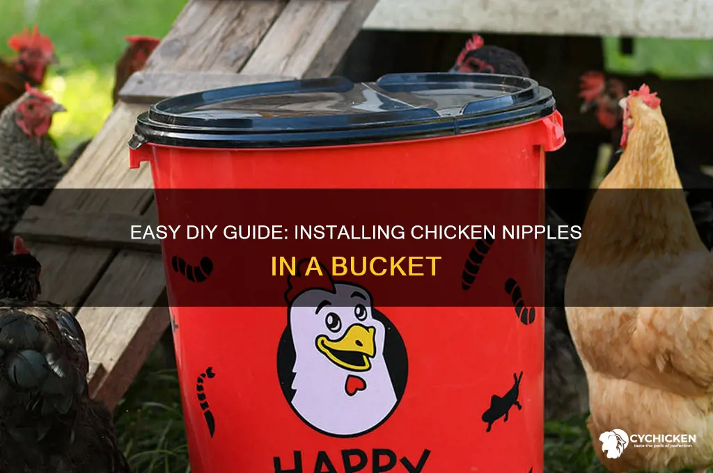 how to install chicken nipples in bucket