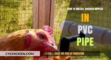 DIY Chicken Nipple Installation: Easy PVC Pipe Setup Guide