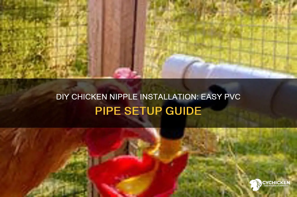 how to install chicken nipples in pvc pipe