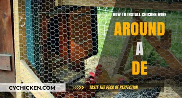 Secure Your Garden: Easy Steps to Install Chicken Wire Around a DE