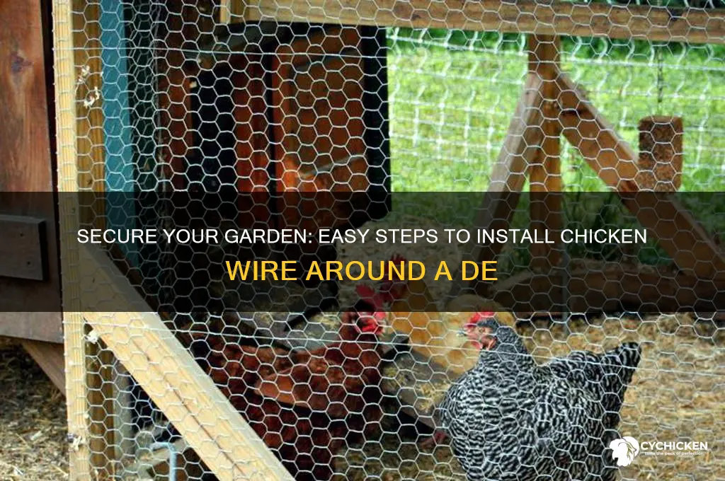 how to install chicken wire around a de