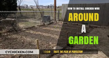 Secure Your Garden: Easy Steps to Install Chicken Wire Fencing