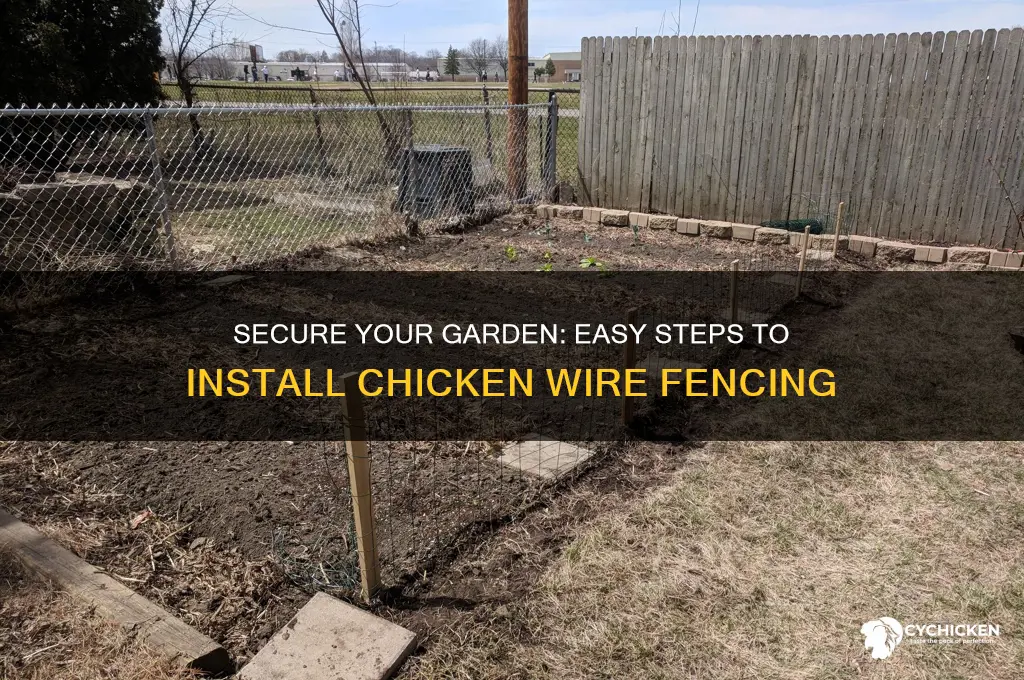 how to install chicken wire around a garden