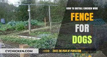 Easy Steps to Install Chicken Wire Fence for Dog Safety
