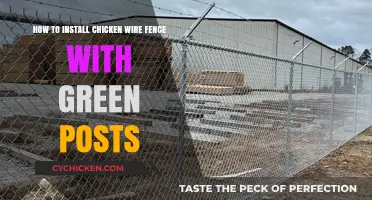 Setting Up a Chicken Wire Fence: Green Posts Guide