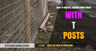 Installing Chicken Wire Fence: Using T-Posts for Support